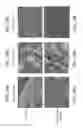 Fig. 41 - Biochars for use in composting