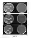 Fig. 09 - Antibacterial agents