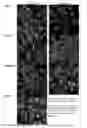 Fig. 07 - Fluorescent synthetic retinoids