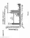 Fig. 02 - Quinazoline scaffold based compounds, pharmaceutical compositions and methods of use thereof