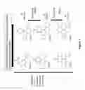 Fig. 09 - Quinazoline scaffold based compounds, pharmaceutical compositions and methods of use thereof