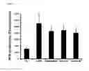 Fig. 12 - Compound isolated from Pseudolysimachion rotundum var. subintegrum, the composition comprising the same for treating allergic disease, inflammatory disease, asthma or chronic obstructive pulmonary disease and the use thereof