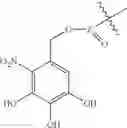 Fig. 58 - Photo-cleavable primer compositions and methods of use