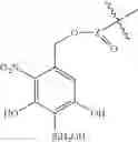 Fig. 63 - Photo-cleavable primer compositions and methods of use