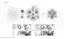 Fig. 02 - Polypeptides for use in self-assembling protein nanostructures