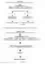 Fig. 02 - CLOSTRIDIUM DIFFICILE IMMUNOGENIC COMPOSITION