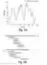 Fig. 07 - House dust mite allergen