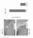 Fig. 04 - Isolated polypeptides of CD44 and uses thereof
