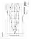 Fig. 06 - Isolated polypeptides of CD44 and uses thereof