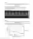 Fig. 12 - Antibody gene expression-secretion system