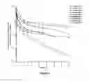 Fig. 07 - BCMA and CD3 bispecific T cell engaging antibody constructs