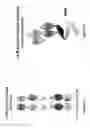 Fig. 03 - PSMA and CD3 bispecific T cell engaging antibody constructs