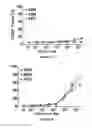 Fig. 04 - PSMA and CD3 bispecific T cell engaging antibody constructs