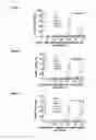Fig. 06 - PSMA and CD3 bispecific T cell engaging antibody constructs
