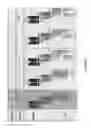 Fig. 09 - PSMA and CD3 bispecific T cell engaging antibody constructs