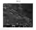 Fig. 07 - GRAPHENE OXIDE-NANODIAMOND COMPOSITE, MANUFACTURING METHOD THEREOF, AND NANOFLUID INCLUDING THE SAME