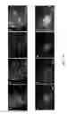 Fig. 41 - CELL CULTURE DEVICE, METHOD OF FORMING THE SAME, AND METHOD OF PARTIALLY DETACHING STEM CELLS FROM THE SAME