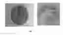Fig. 02 - Preservation and storage of biological specimens