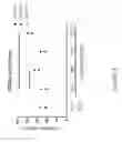 Fig. 04 - Methods of making T cell compositions