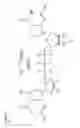Fig. 08 - USE OF RNA FOR REPROGRAMMING SOMATIC CELLS