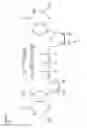 Fig. 09 - USE OF RNA FOR REPROGRAMMING SOMATIC CELLS