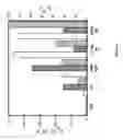 Fig. 07 - Variants of phosphotriesterase for the hydrolysis and detoxification of nerve agents