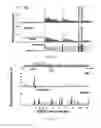 Fig. 05 - Methods and materials for activating an internal ribosome entry site in exon 5 of the DMD gene