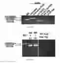 Fig. 10 - Methods and materials for activating an internal ribosome entry site in exon 5 of the DMD gene