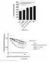 Fig. 16 - Methods and materials for activating an internal ribosome entry site in exon 5 of the DMD gene