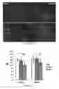Fig. 43 - Methods and materials for activating an internal ribosome entry site in exon 5 of the DMD gene