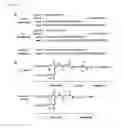 Fig. 02 - Nucleic acid amphiphiles and nanostructures