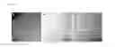 Fig. 03 - Nucleic acid amphiphiles and nanostructures