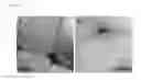 Fig. 04 - Nucleic acid amphiphiles and nanostructures