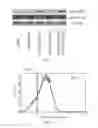 Fig. 04 - MORPHOLINOS, MORPHOLINO UPREGULATING, AND ASSOCIATED METHODS