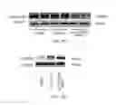 Fig. 11 - MORPHOLINOS, MORPHOLINO UPREGULATING, AND ASSOCIATED METHODS