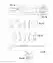 Fig. 02 - STRUCTURAL ELEMENT WITH ANTICIPATED PRESTRESSING