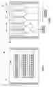 Fig. 08 - Multiple well elevated temperature column flow testing