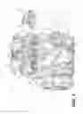 Fig. 02 - Exhaust valve assembly for a two-stroke internal combustion engine and method for cleaning same