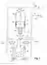 Fig. 02 - Dual fuel injector