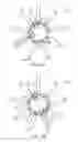 Fig. 05 - Variable hole size nozzle and spray angle fuel injector and MHBIB