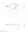 Fig. 09 - Brake lining of disc brake device