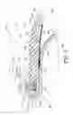 Fig. 06 - Lateral support element, gas spring assembly and method