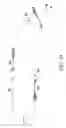 Fig. 08 - Inverted-Landing Aircraft