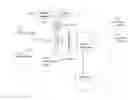 Fig. 01 - Identifying and enumerating early granulated cells (EGCs)