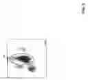 Fig. 06 - Identifying and enumerating early granulated cells (EGCs)