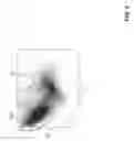 Fig. 07 - Identifying and enumerating early granulated cells (EGCs)