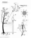 Fig. 02 - Method and apparatus for determining the rate of sap-content variation in living plants, and relating that to soil water tension, and transmitting the collected information