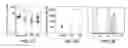 Fig. 07 - Reactive oxygen species production by myeloid-derived suppressor cells as a predictor of patient response to interferon-α therapy