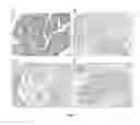 Fig. 13 - METHODS FOR ASSESSING BIOLOGICAL SAMPLE QUALITY