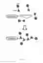 Fig. 02 - A PROTEIN TAGGING SYSTEM FOR IN VIVO SINGLE MOLECULE IMAGING AND CONTROL OF GENE TRANSCRIPTION